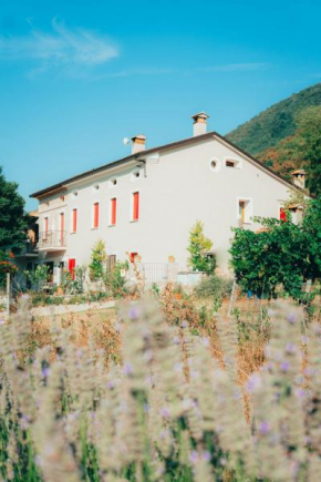 B&B Al Giardino dei Laghi